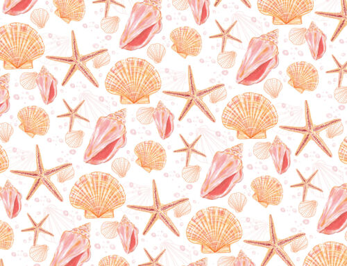 Shell Me on White Pattern Design